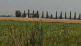IMAG0146