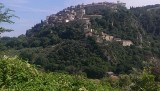 IMAG0195