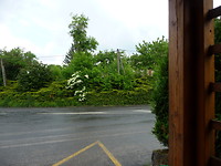 F13BA5F9-68B8-4CF6-8355-C9CA4C94D099