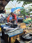 Another fish market