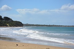 surfbeach Torquay