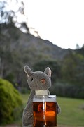 Aperitief bij Grampians (1)