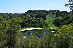 Tower Hill Reserve (6)