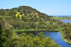 Tower Hill Reserve (8)