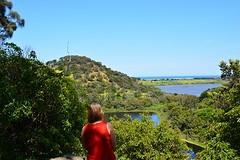Tower Hill Reserve (9)