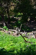 Tower Hill Reserve (12)