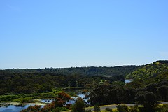Tower Hill Reserve (15)