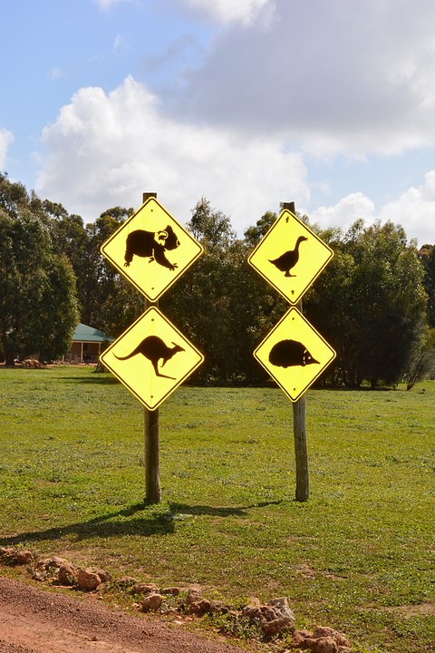 Hanson bay (3)