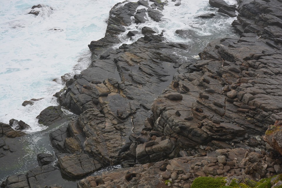 Admirals Arch (19)