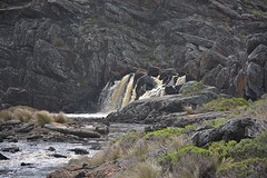 Snake Lagoon Hike (52)