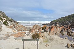 Snake Lagoon Hike (54)