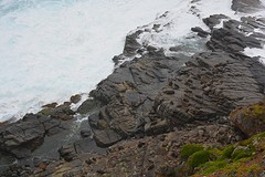 Admirals Arch (21)