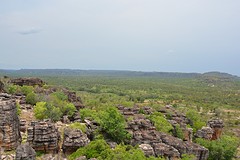 Injalak (35)