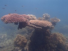 PA250093