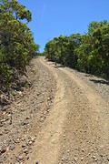 Lookouts Hamilton Island (5)
