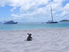 Whitehaven Beach (1)