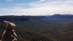 Blue Mountains (8)