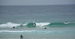 bondi surfer