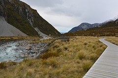 Hooker Valley (18)