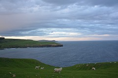 Otago Peninsula (202)