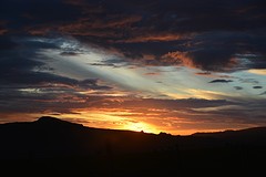 Otago Peninsula