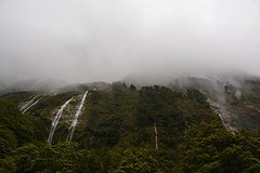DSC_0008