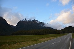 DSC_0231