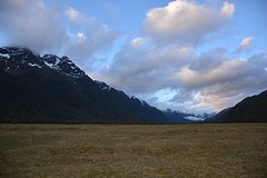 DSC_0239