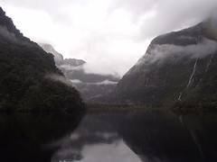 Halls Arm (13)