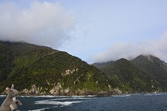 Monding Tasman Sea (82)