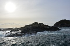 Monding Tasman Sea (98)