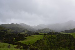 DSC_0037