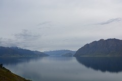 Lake Wanaka (7)