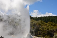 Lady Knox Geyser (6)