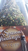 Kerstversiering Auckland (1)