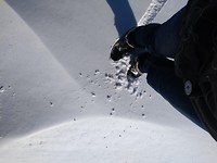 30 centimeter sneeuw