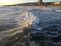 Surfers