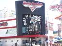 harley davidson