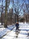 sneeuw in central park