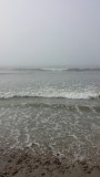 Horseneck Beach