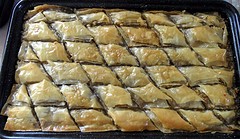 SAM_5973