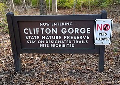 Clifton Gorge