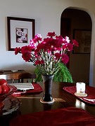 Carnations