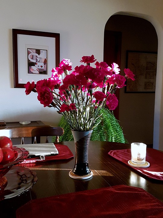 Carnations