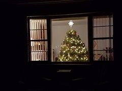 From the outside looking in
