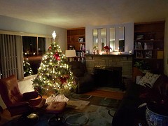Our first Christmas tree