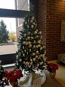 Tree of Light