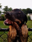 My best4 legged friend