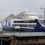 rijncruiser vs cruise ship