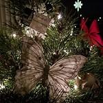 Ornaments